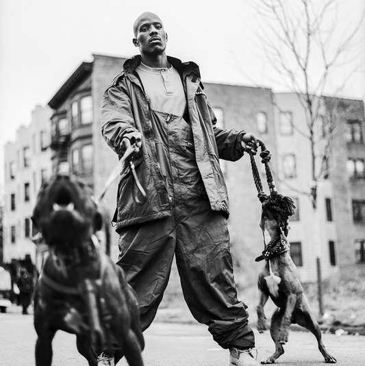 Music - DMX